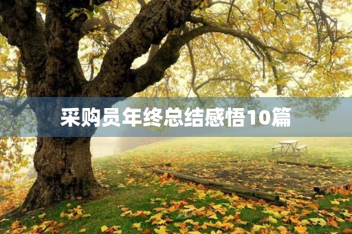 采购员年终总结感悟10篇 采购员年终总结感悟10篇