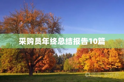 采购员年终总结报告10篇