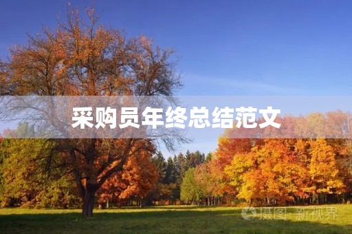采购员年终总结范文 采购员年终总结范文