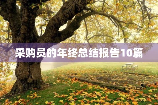采购员的年终总结报告10篇
