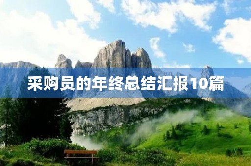 采购员的年终总结汇报10篇 采购员的年终总结汇报10篇