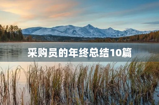 采购员的年终总结10篇 采购员的年终总结10篇