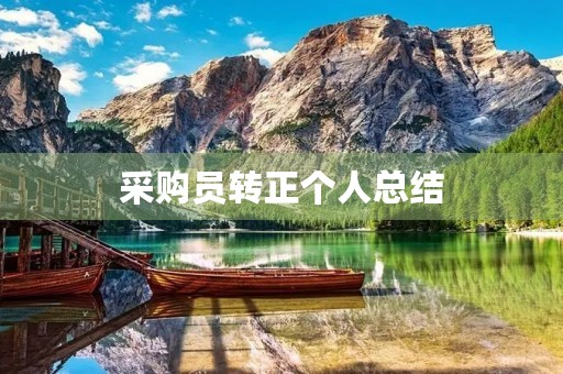 采购员转正个人总结