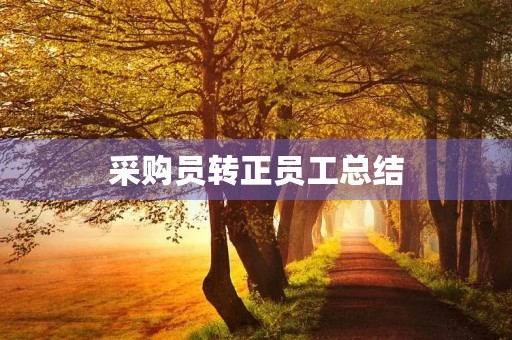 采购员转正员工总结