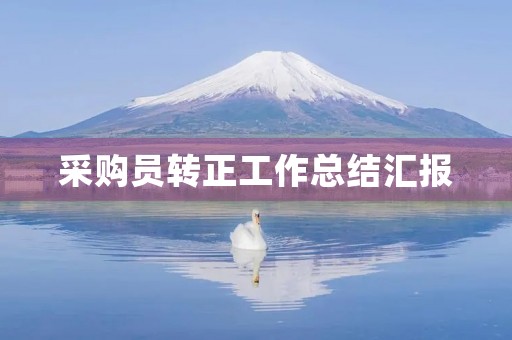 采购员转正工作总结汇报