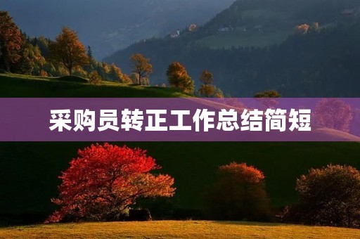 采购员转正工作总结简短