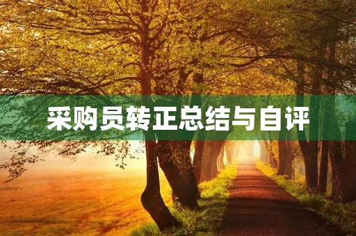 采购员转正总结与自评
