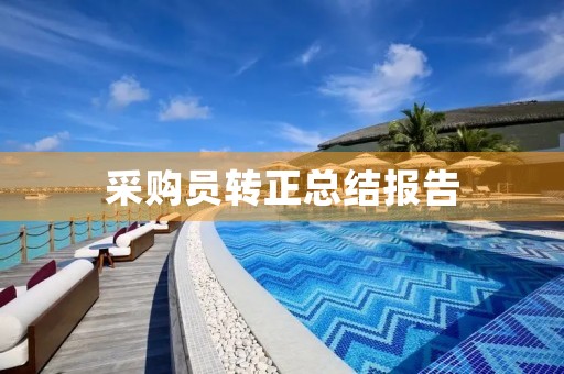 采购员转正总结报告