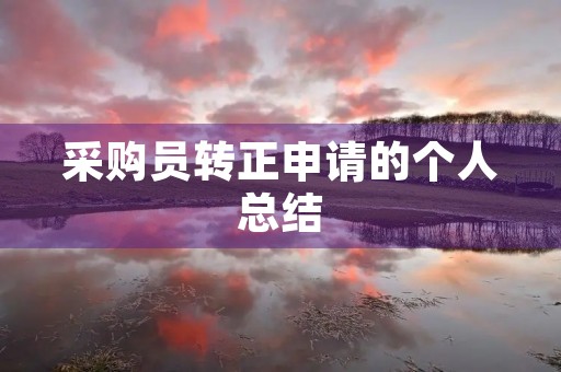 采购员转正申请的个人总结