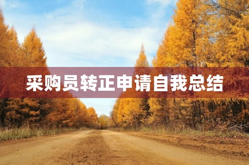 采购员转正申请自我总结