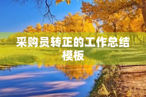采购员转正的工作总结模板