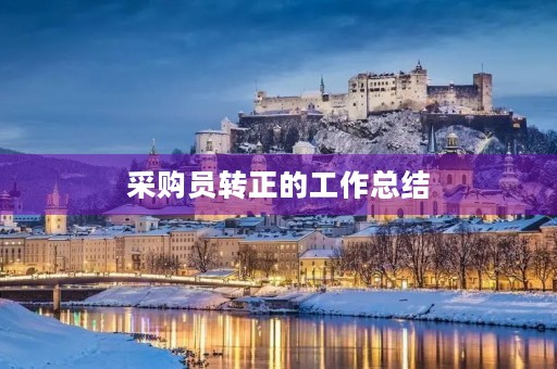 采购员转正的工作总结