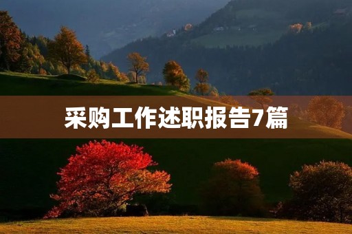 采购工作述职报告7篇