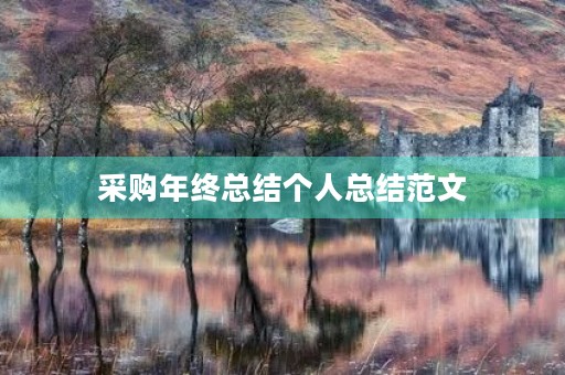 采购年终总结个人总结范文