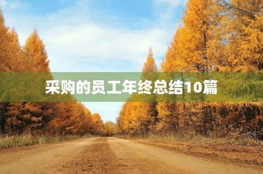 采购的员工年终总结10篇