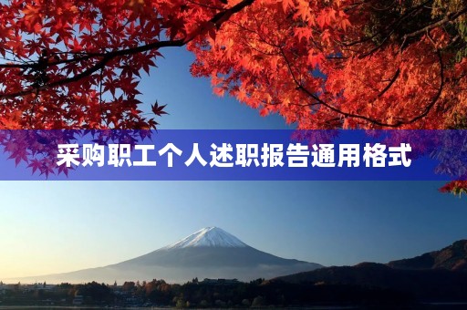采购职工个人述职报告通用格式