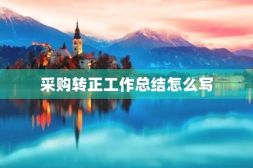 采购转正工作总结怎么写