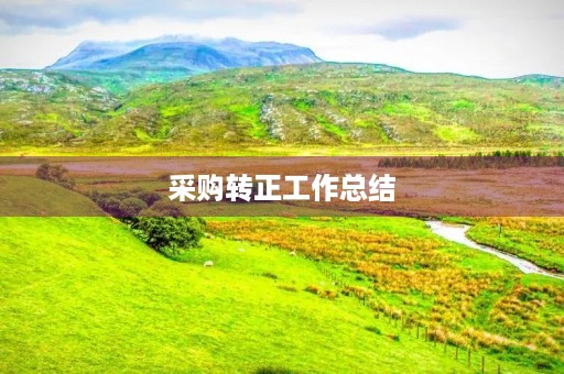 采购转正工作总结