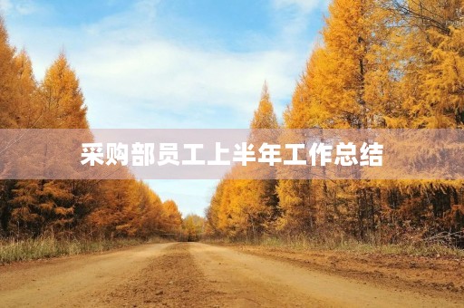 采购部员工上半年工作总结