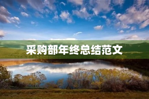 采购部年终总结范文