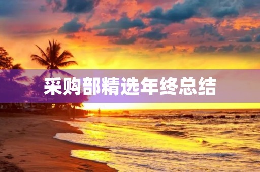 采购部精选年终总结