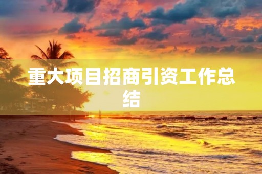 重大项目招商引资工作总结
