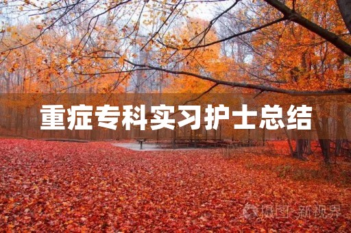 重症专科实习护士总结