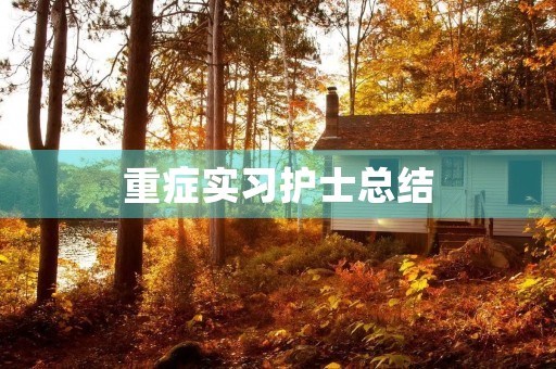 重症实习护士总结