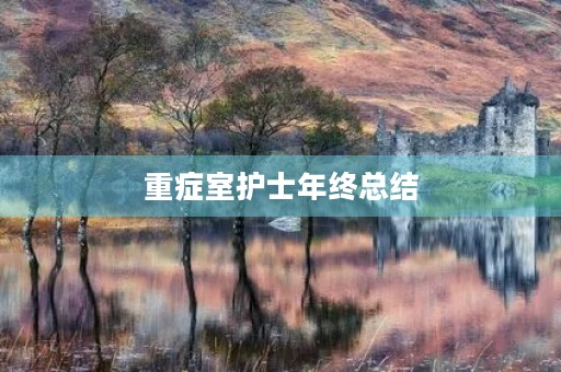 重症室护士年终总结