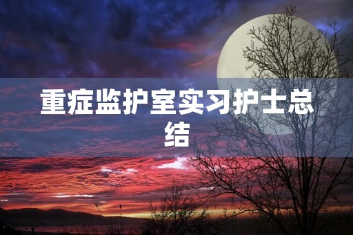 重症监护室实习护士总结