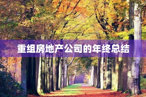 重组房地产公司的年终总结