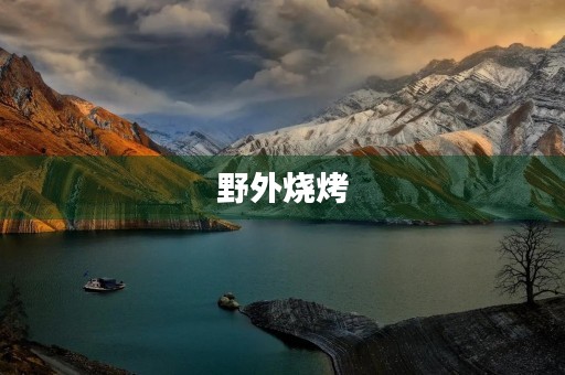 野外烧烤 野外烧烤