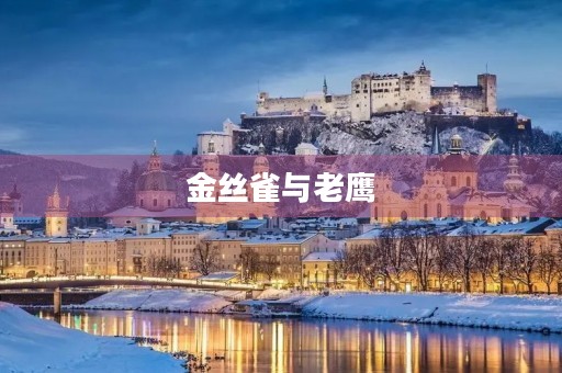 金丝雀与老鹰