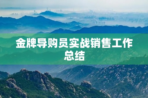 金牌导购员实战销售工作总结