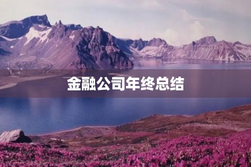 金融公司年终总结