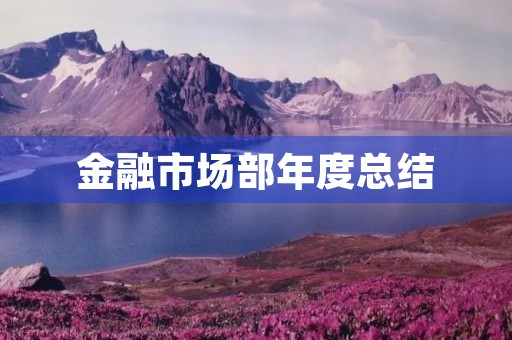 金融市场部年度总结