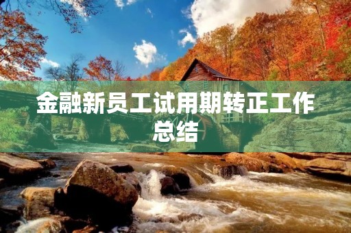 金融新员工试用期转正工作总结