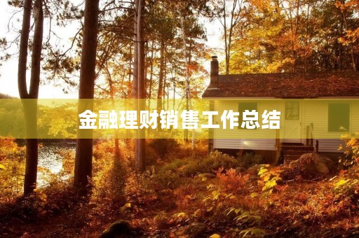 金融理财销售工作总结