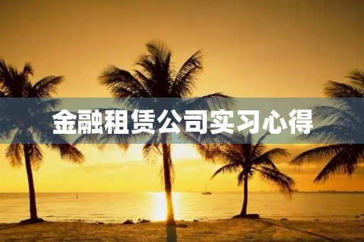 金融租赁公司实习心得 金融租赁公司实习心得
