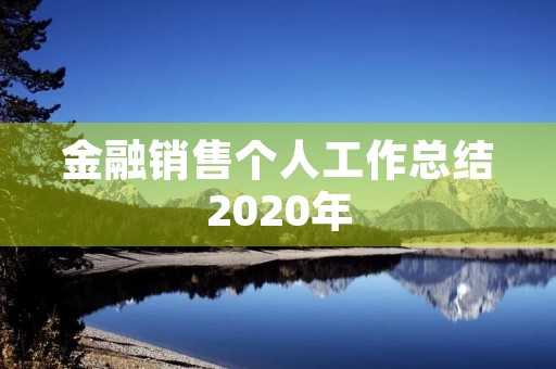 金融销售个人工作总结2020年