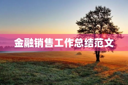 金融销售工作总结范文