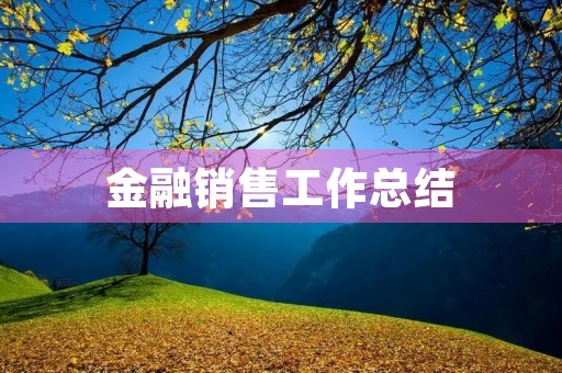 金融销售工作总结