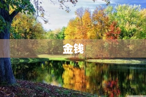 金钱 金钱