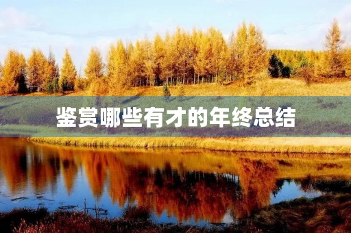 鉴赏哪些有才的年终总结