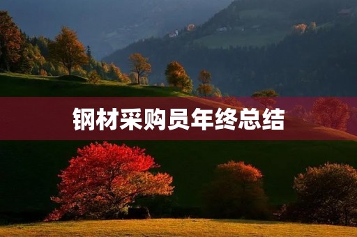 钢材采购员年终总结