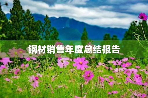 钢材销售年度总结报告