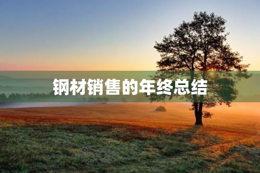 钢材销售的年终总结 钢材销售的年终总结