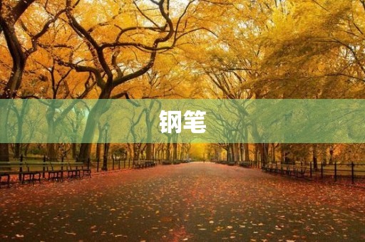 钢笔 钢笔