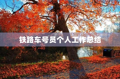 铁路车号员个人工作总结
