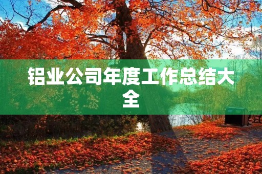 铝业公司年度工作总结大全